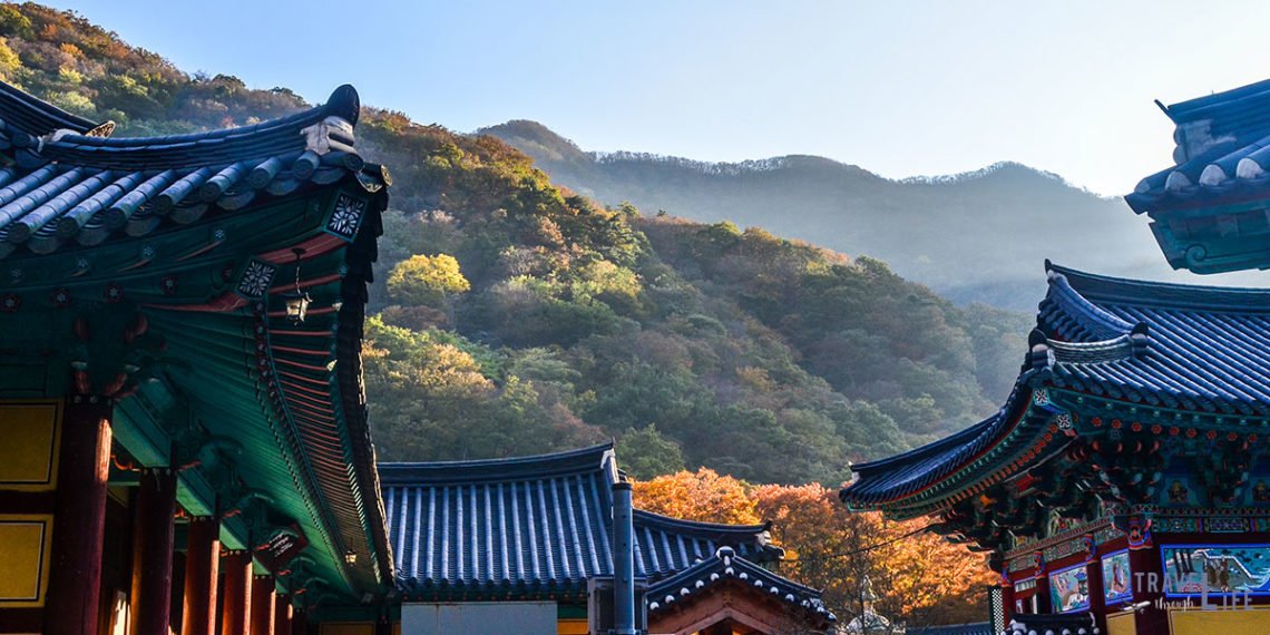 Fall in South Korea and the Best Places to Visit | Travel Guide