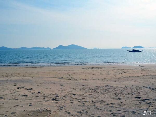 Spring Things to Do in South Korea Jandeung Beach Yeosu Image