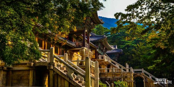 Visiting Gyeongju Bulguksa Temple and Finding Beautiful Moments
