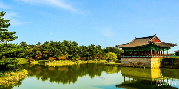 Gyeongju Anapji Pond South Korea Travel