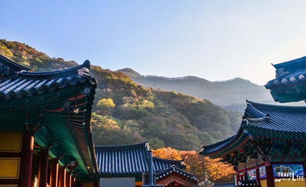 Naejangsan National Park and Following Leaves in Korea