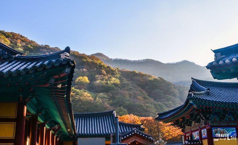 Naejang Temple Naejangsan Autumn Foliage