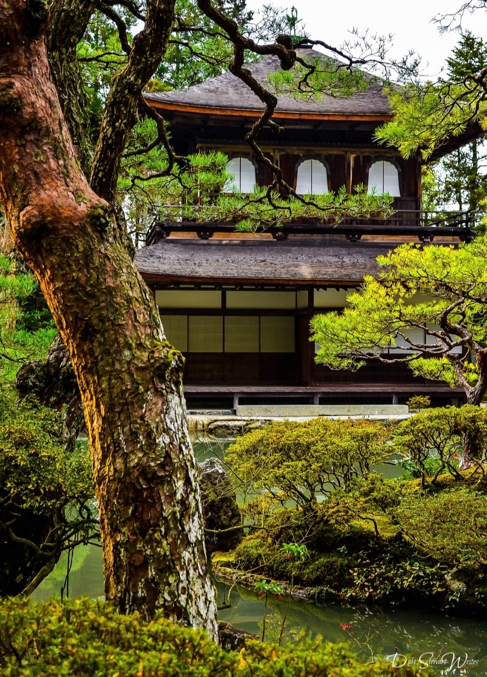 Facing Japan's Ginkakuji, Kyoto