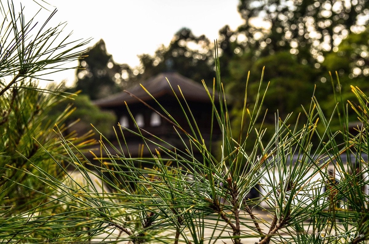 Kyoto, Ginkakuji in the Background