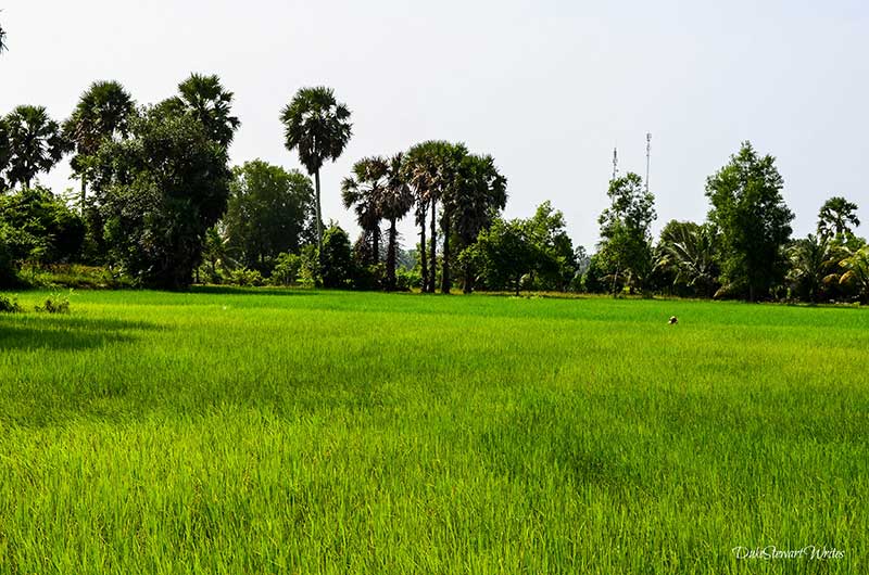 Why You Should Travel Riding around Kampot