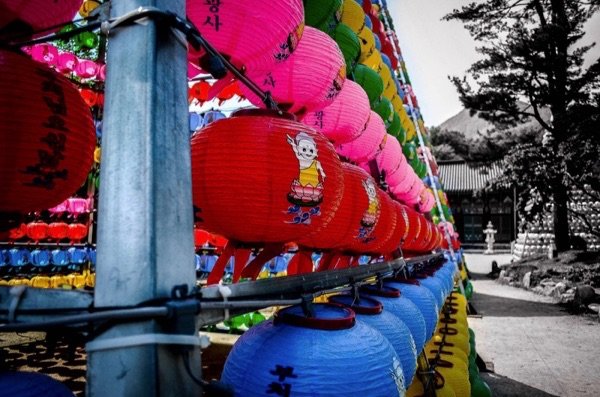 Songgwangsa Lanterns, Wanju South Korea