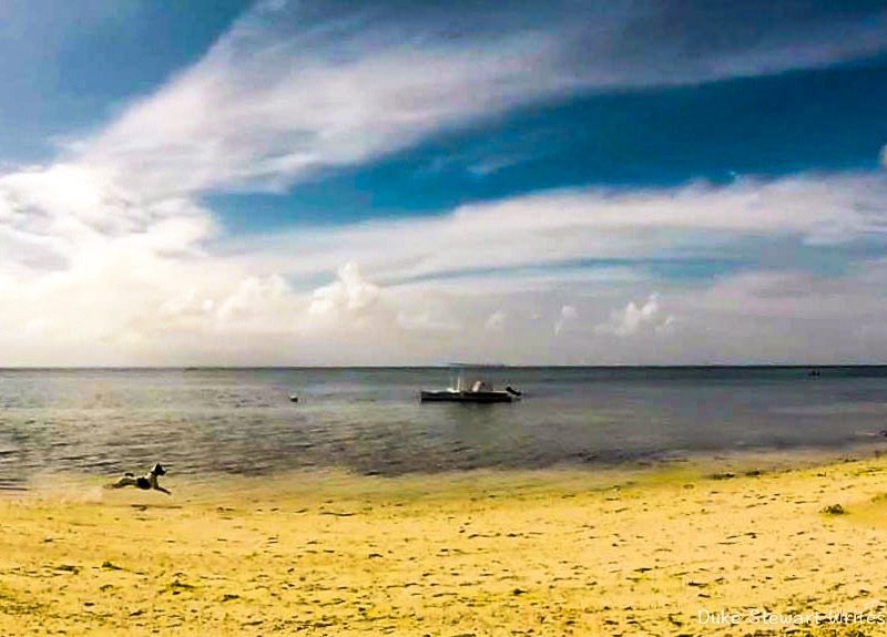 Skipper and the Beach, Anda in the Philippines