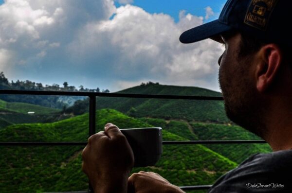 Tea with a sweet view at the Boh Plantation in the Cameron Highlands, Malaysia