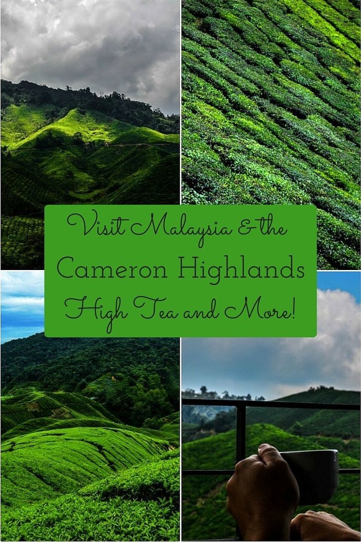 Visit Malaysia Cameron Highlands