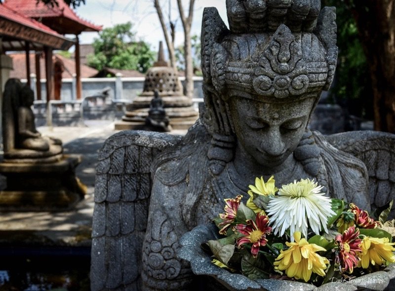 Walking around the Monastery near Mendut Temple and Borobudur, Indonesia