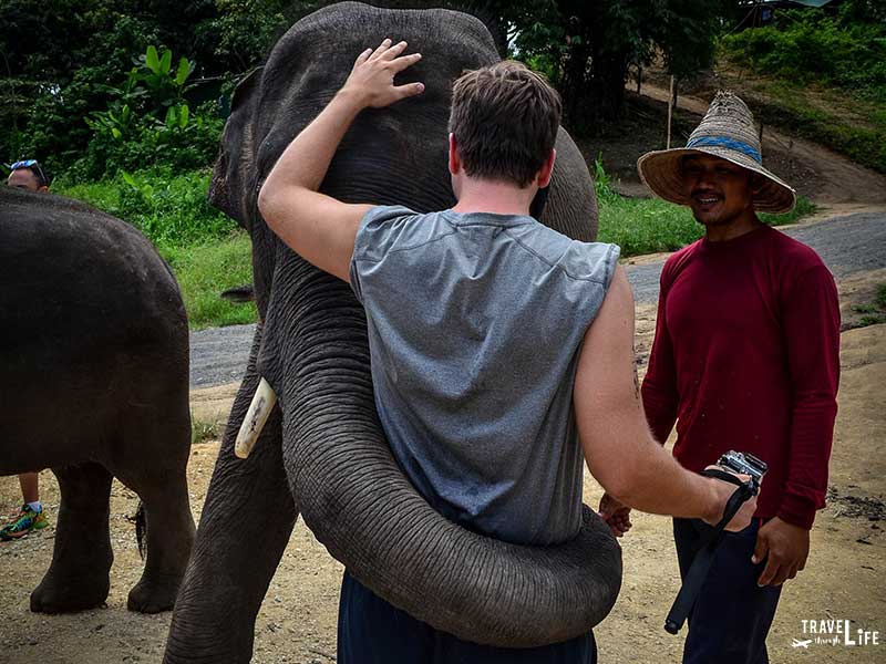 Elephant Sanctuary Near Chiang Mai Elephant Retirement Park