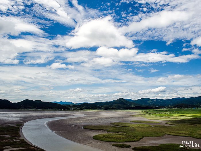 Things to do in Yeosu South Korea Suncheon Bay