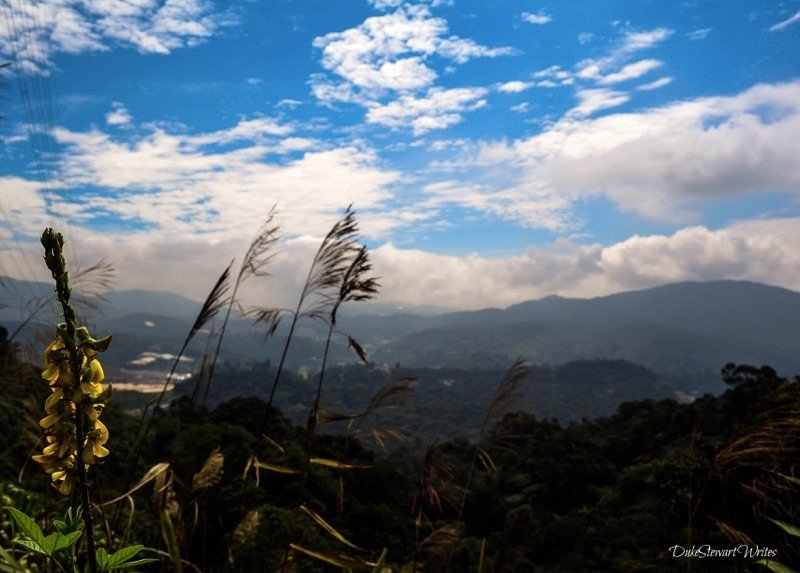 Beautiful views while hiking in Malaysia's Cameron Highlands