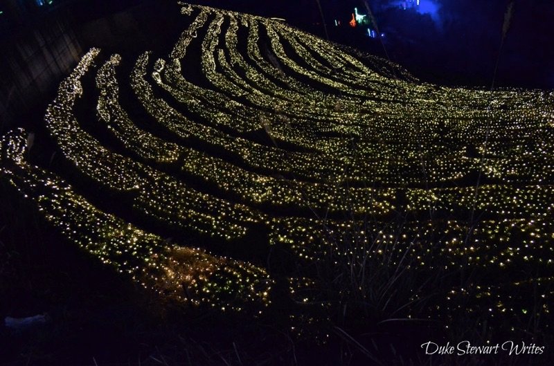 Boseong Green Tea Light Festival, South Korea