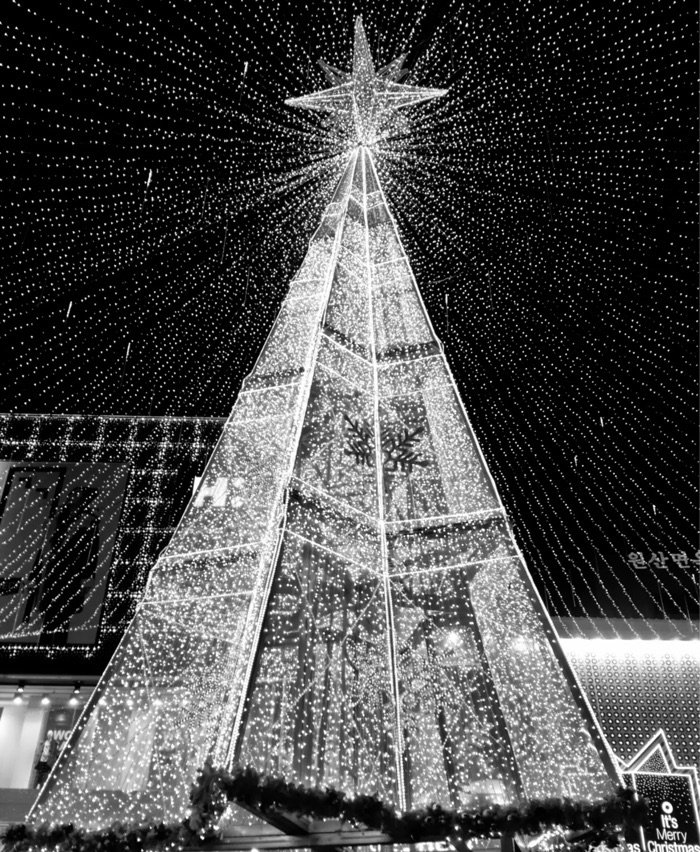 Busan Christmas Tree Festival Photo by Ross Everett via Trover.com