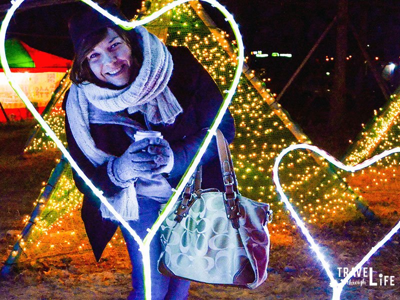 Places in Korea Boseong Tea Plantation Light Festival