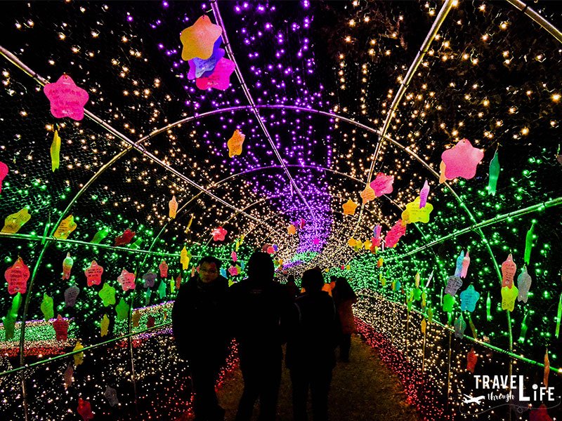 korean light festival