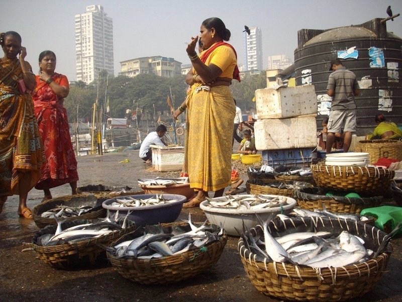 Mumbai Fish Market, Photo by Jess Signet