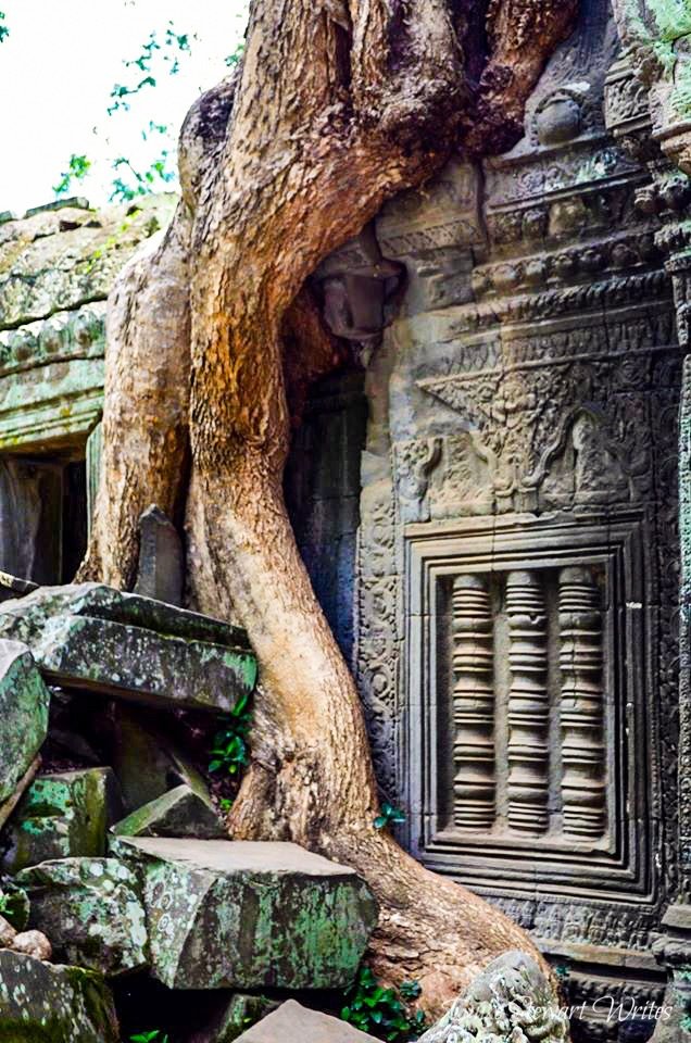 Ta Prohm Overgrown Tree