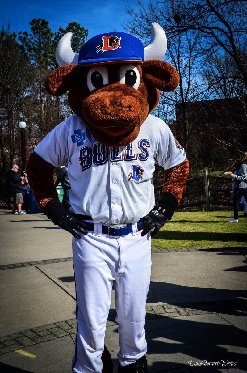 Wool E Bull at the Durham Food Truck Rodeo Winter 2016