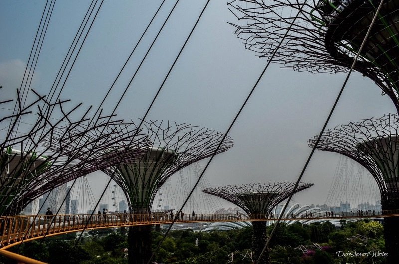 Singapore Supertree Grove and Causeway