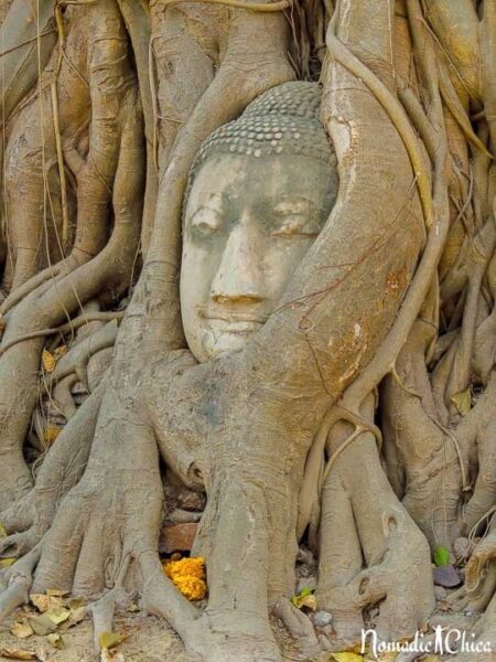 Ayutthaya Wat Maha Tat Photo by Gloria from Nomadic Chica