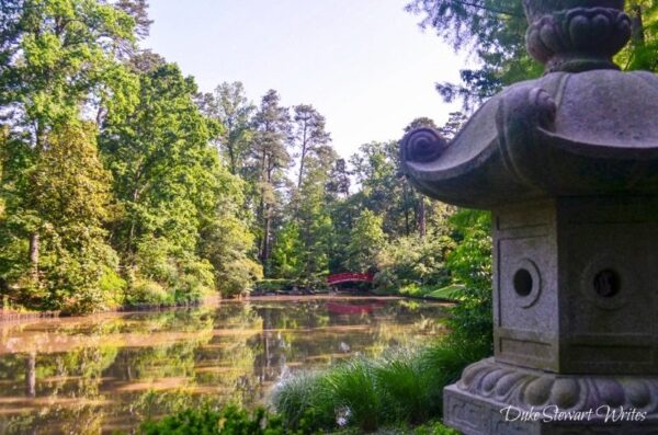 Duke Gardens Asiatic Arboretum and Pond