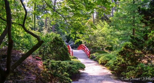 Duke Gardens Asiatic Arboretum and Red Bridge