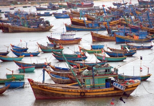 Fishing Boats at Mui Ne, Vietnam Photo by Suzanne Jones from Travel Bunny