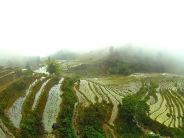 North of Vietnam by Winter Trekking and Homestay in Sa Pa Photo by Two Monkeys Travel Group