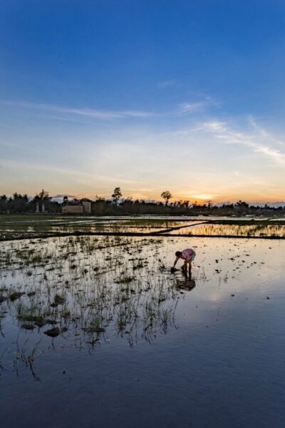 Vietnam Hoi An Photo by Tom from Tom-Go.com