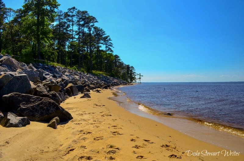 Croatan National Forest Pine Cliffs Beach