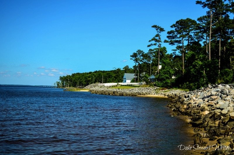 Croatan National Forest Pine Cliffs Shore