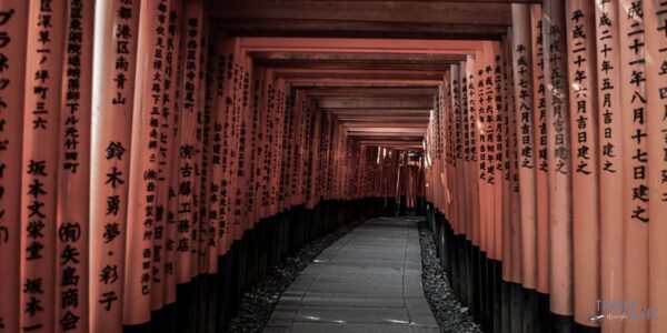 Featured Image of Fushimi Inari Taisha Kyoto Japan Article