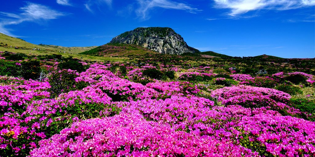 How to Enjoy Jeju Island on a Long Weekend | South Korea Travel Story
