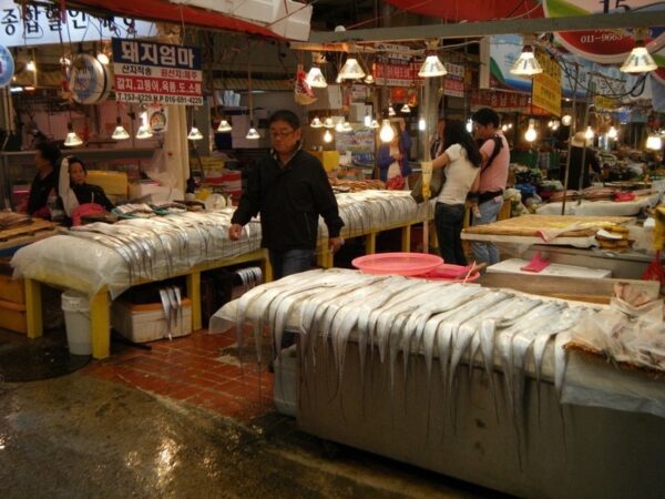 Jeju Fish Market by garycycles is licensed under CC by 2.0