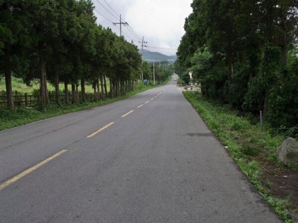 Jeju Mysterious Road by Ken is Licensed under CC BY 2.0