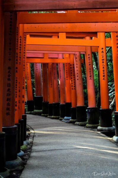 Looking Back on Fushimi Inari Kyoto