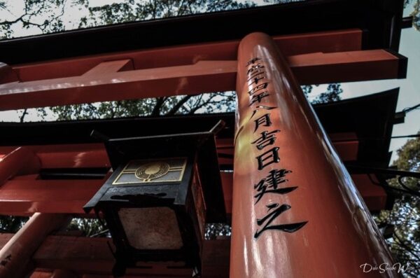 Looking up at Fushimi Inari Torii Gates