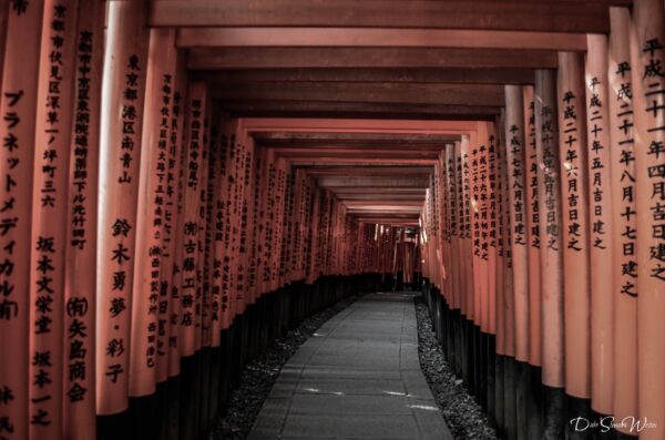 So-Many-Fushimi-Inari-Toori-Gates--600x3