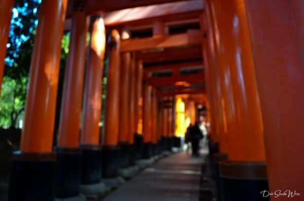 Walking into Fushimi Inari Kyoto Japan