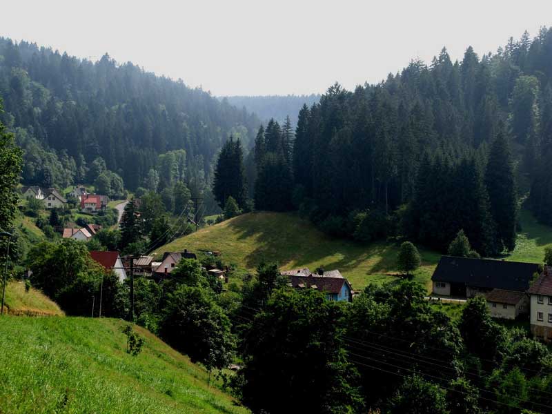 Adventure Activities in Germany Black Forest Image by FFlickr User Caitriana Nicholson