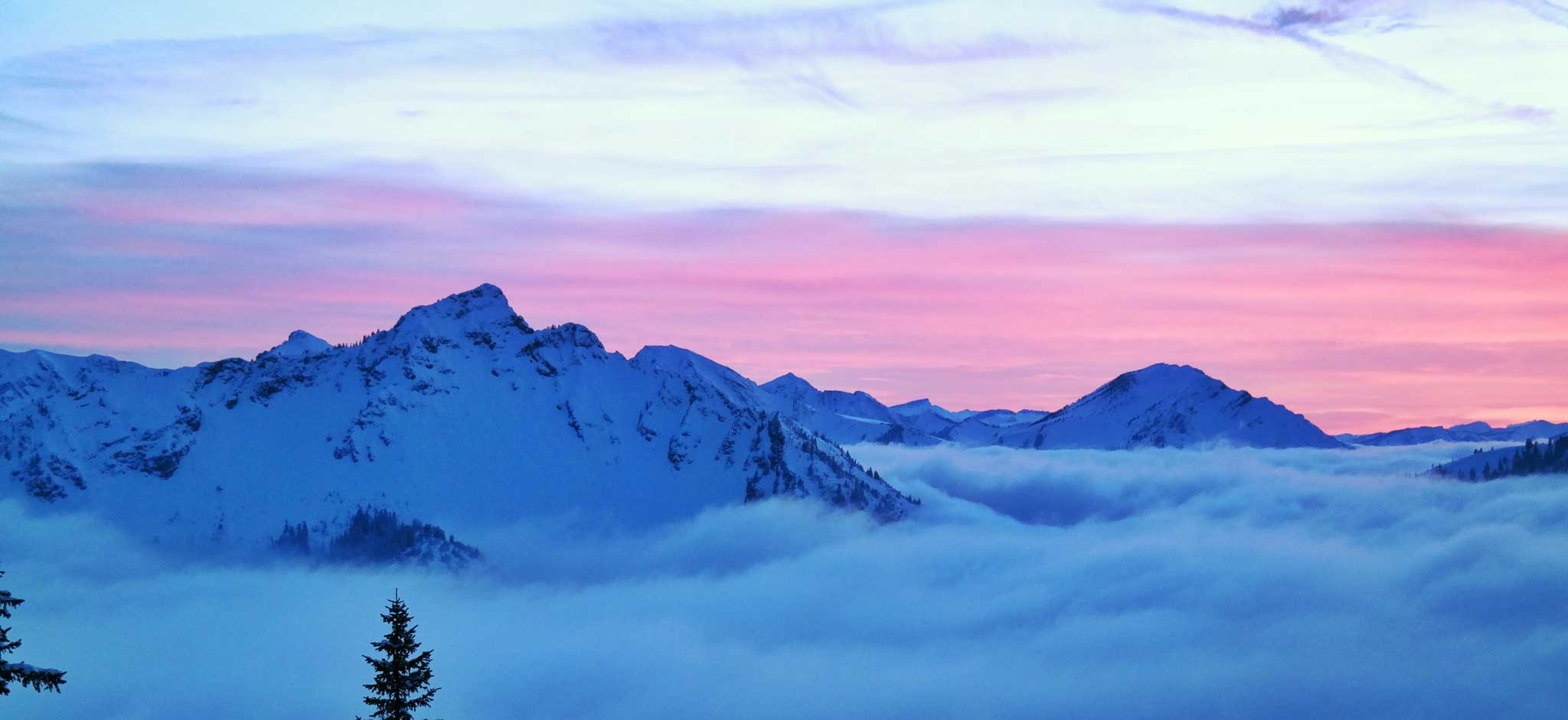 Cool Things to Do in Germany Tree Hanging Pfonten Mountains Image by Flickr User flow anders