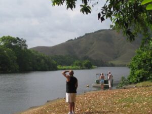 Daintree Rainforest