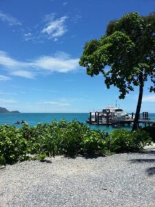 Daintree Rainforest