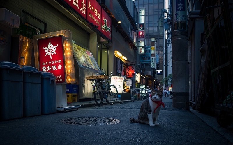 China Street Photo via Flickr by torne (where's my lens cap?)