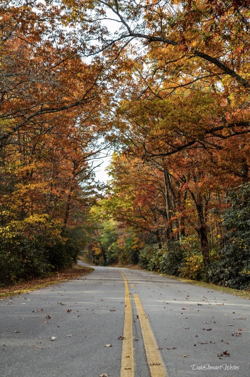 Blue Ridge Parkway Fall Foliage