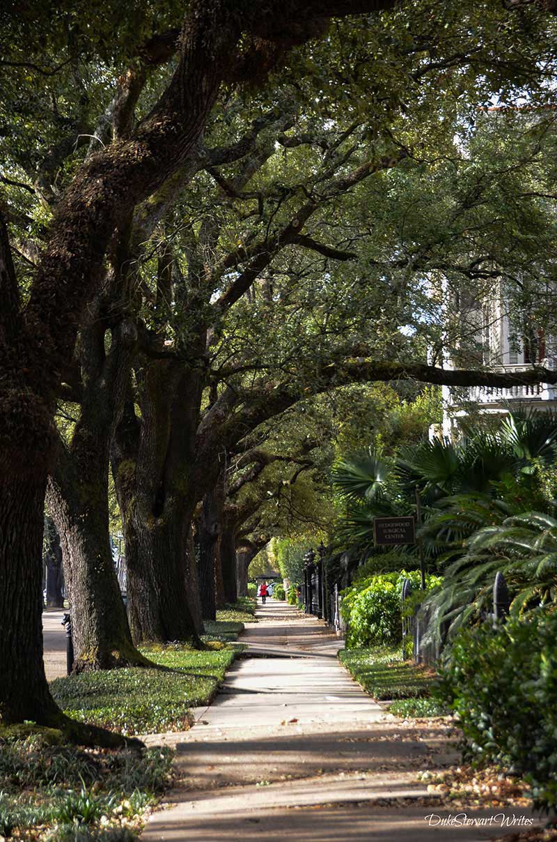 New Orleans Garden District