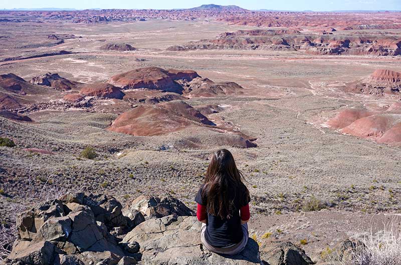 Thaneeya Petrified Forest National Park AZ