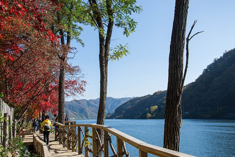 Fall in South Korea Nami Island